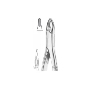 EXTRACTION FOCEPS “AMERICAN PATTERN