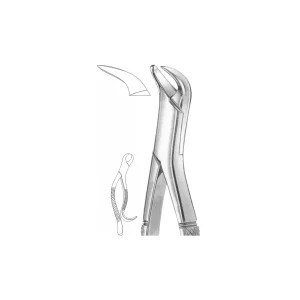 EXTRACTION FOCEPS “AMERICAN PATTERN