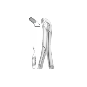 EXTRACTION FOCEPS “AMERICAN PATTERN