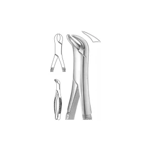 EXTRACTION FOCEPS “AMERICAN PATTERN