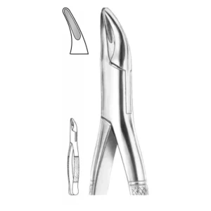 EXTRACTION FOCEPS “AMERICAN PATTERN